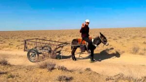 Scopri di più sull'articolo Viaggio su misura in Uzbekistan